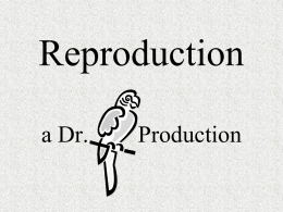 Human Reproduction Notes