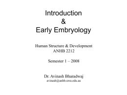 Introduction & Embryology