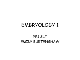 EMBRYOLOGY - University of St Mark & St John