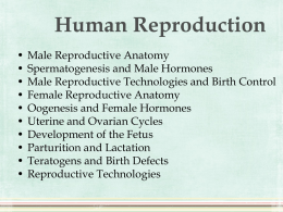 Human Reproduction - Salisbury Composite High School