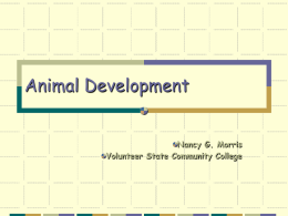 Animal Development - Volunteer State Community College