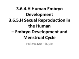 3.6.4.H Human Embryo Development 3.6.5.H Sexual