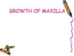GROWTH_OF_MAXILLA__ortho_