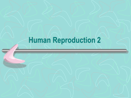 26.2 Human Reproduction 2