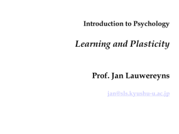 10 Learning and Plasticity