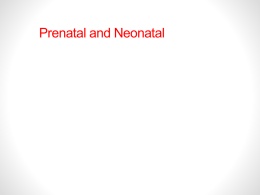 Prenatal and Neonatal Development