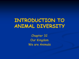 INTRODUCTION TO ANIMAL DIVERSITY