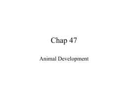 Chap 47 - midpac.edu