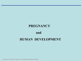 Pregnancy & Human Development Part 1