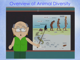 animal diversity 25