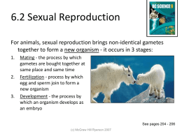 Sexual Reproduction Powerpoint