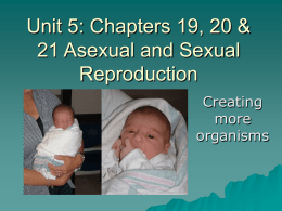 Unit XVII: Reproduction