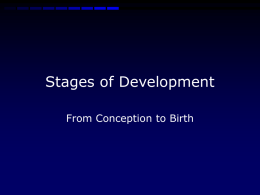 development_from_conception_to_birth