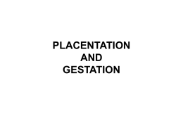 PLACENTATION AND GESTATION