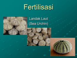 Fertilisasi - UNAIR | E