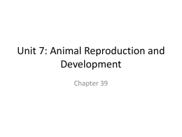 Unit 7: Animal Reproduction and Development
