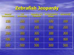 Zebrafish Jeopardy
