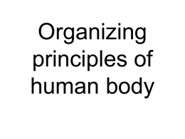 02. Organizing principles of human body