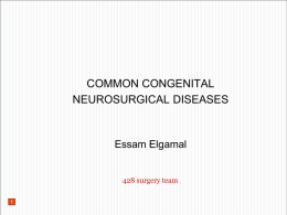 AJLAN`S LEC Common Congenital CNS Problems2011