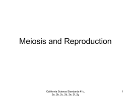 Meiosis and Reproduction10