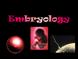 2010: Embryology