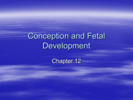 Conception and Fetal Development 2015 use this one