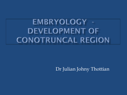 Embryology - Conotruncal development