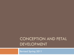 Conception and Fetal Development