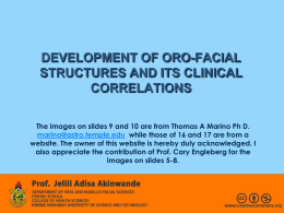 Development of Oro-Facial Structures PowerPoint Presentation File