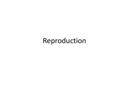 Reproductionx