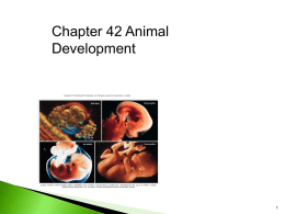 42_lecture_animation_ppt