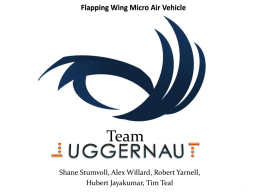 Flapping Wing Micro Air Vehicle