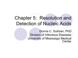 Chapter 5: Resolution and Detection of Nucleic Acids