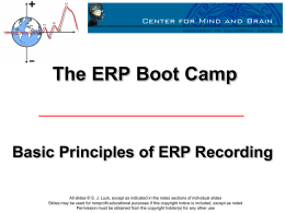Basic Principles of ERP Recording