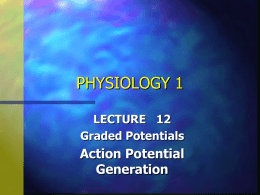 Action Potential Generation