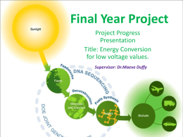 Project Progress Presentation(MS PowerPoint Format)
