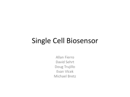 Single Cell Biosensor - Colorado State University