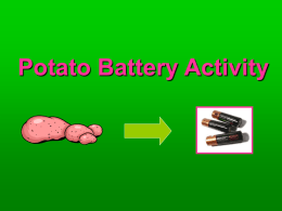 Potato Battery Activity - University of Washington