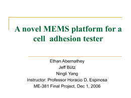 A novel MEMS platform for the biaxial stimulation of cells