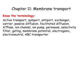Chapter 11: Membrane transport