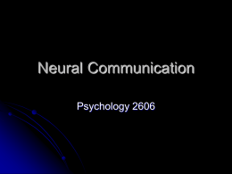 Neural Communication