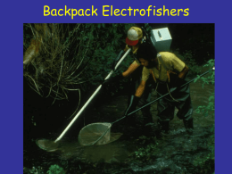 Cataraft - electrofishing