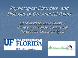 Disorders and Diseases of Ornamental Palms