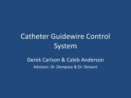 Catheter Guidewire Control System