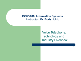 Overview of Voice Telephony Industry and Regulatory Issues