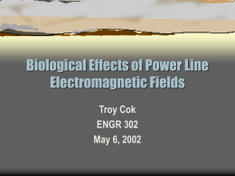 Biological Effects of Power Line Electromagnetic Fields
