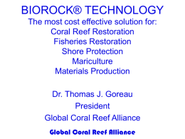 No Slide Title - Global Coral Reef Alliance