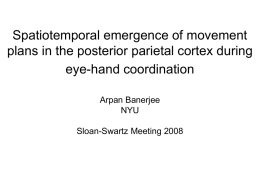 Spatiotemporal emergence of movement plans in the posterior
