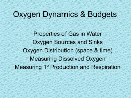 Oxygen Dynamics & Budgets