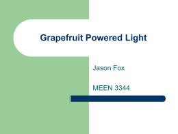Grapefruit-powered light (Jason Fox)